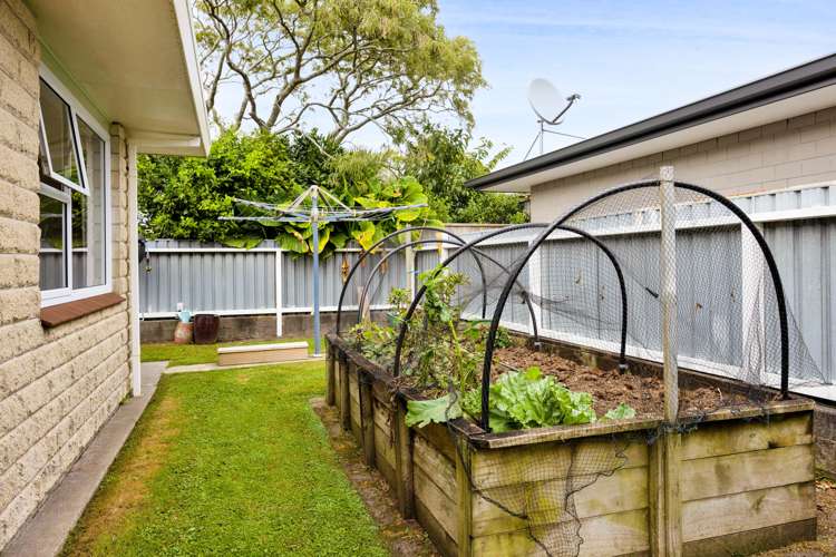 52c Cutfield Street Inglewood_20