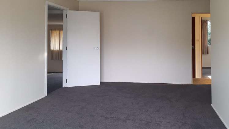 46a Livingstone Avenue Nawton_1