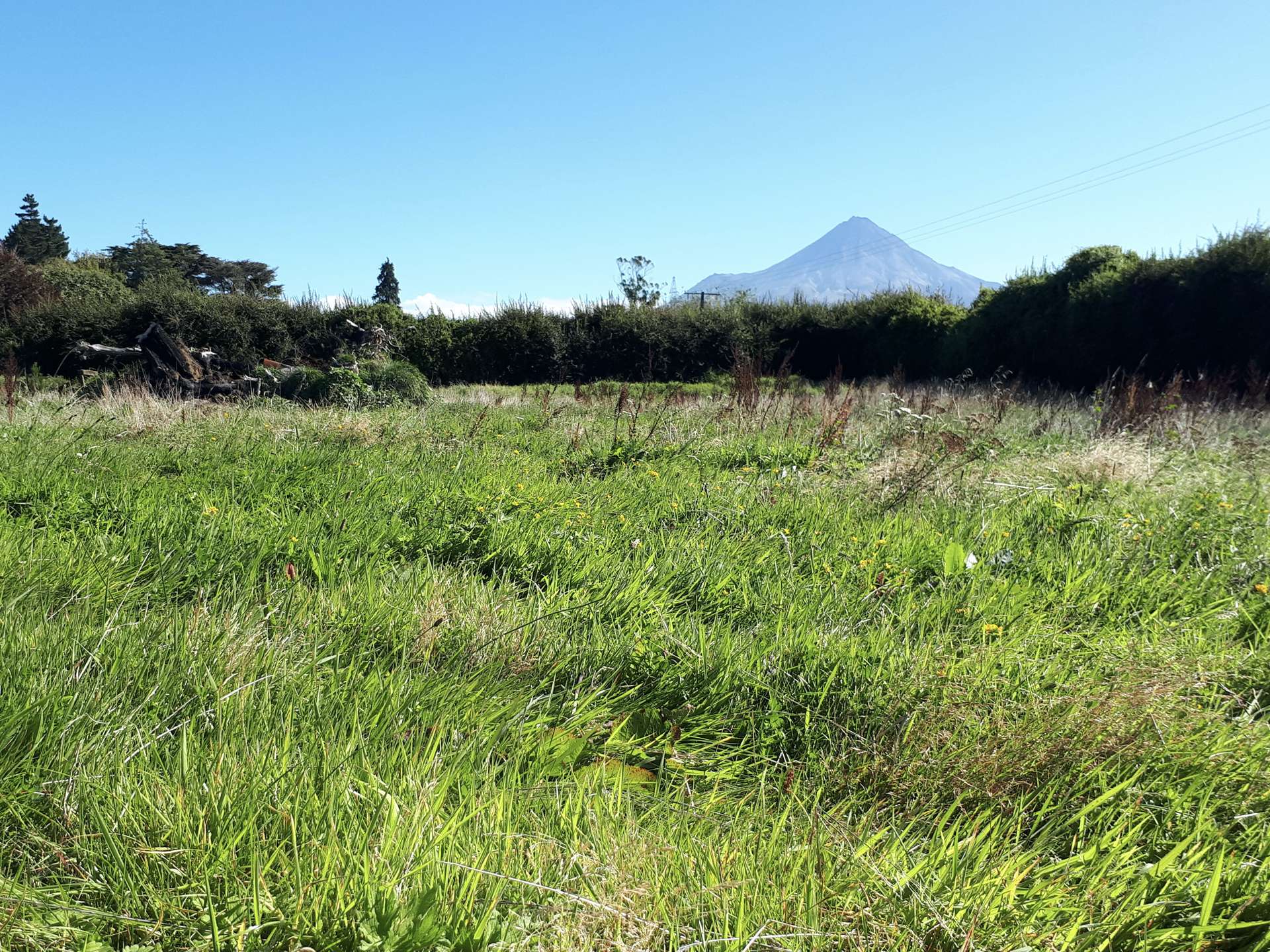 211 Surrey Road Tariki_0