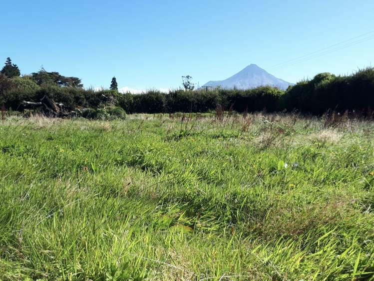 211 Surrey Road Tariki_0