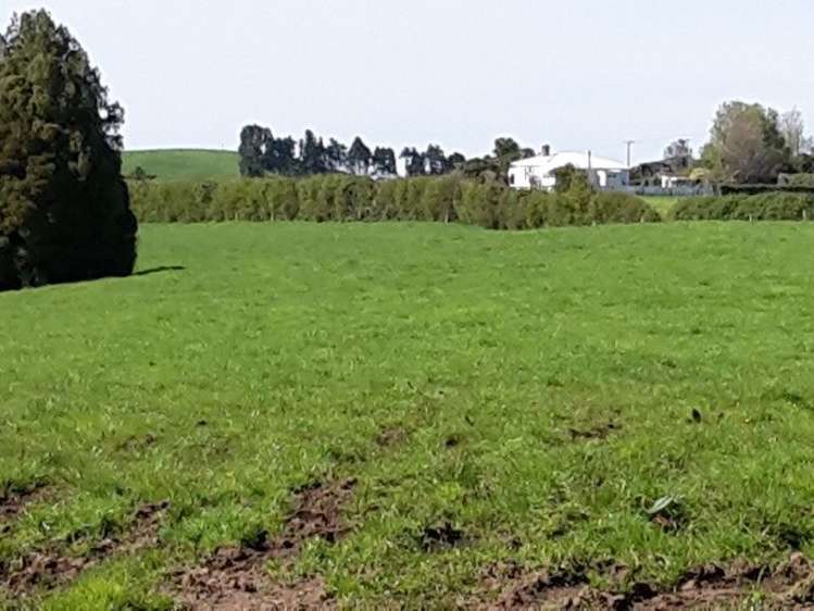 346 Rugby Road Tariki_84