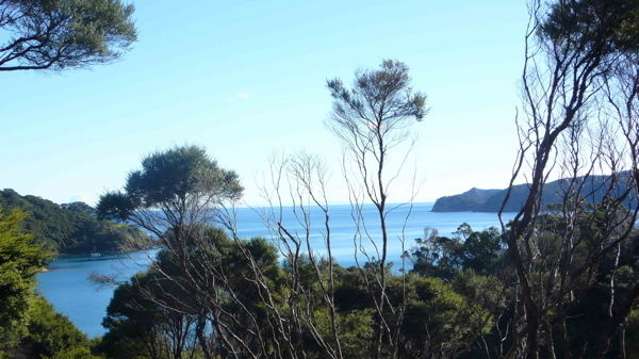 168 Shoal Bay Road Great Barrier Island (Aotea Island)_1