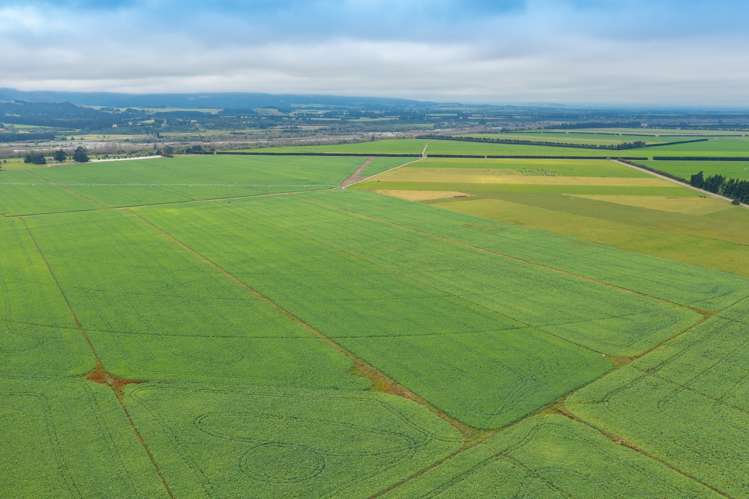 130 Glentui Bennetts Road Oxford_2