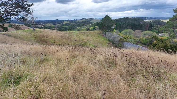 Wearmouth Road Paparoa_11