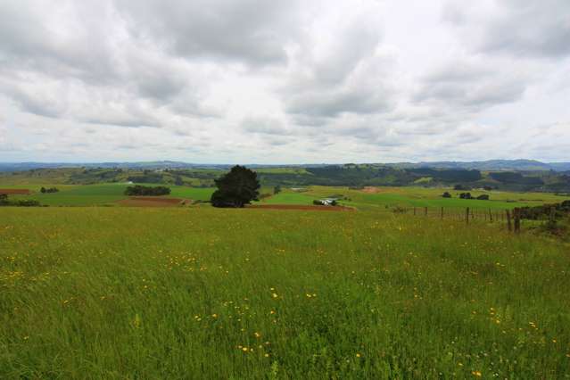 443b Murray Road Pukekawa_3