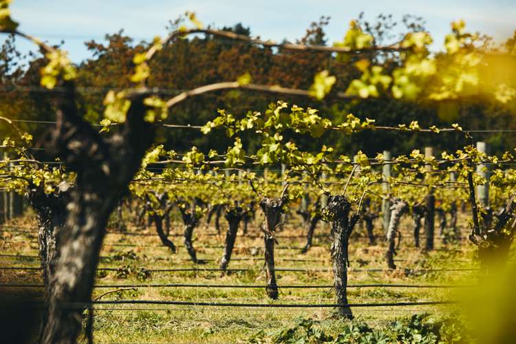 75 Lake Timara Road Hawkesbury_15