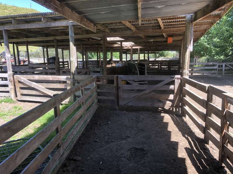 1041 Paparoa Road Whanganui National Park_7