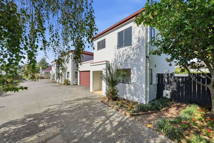 40A Wingate Street Avondale_19