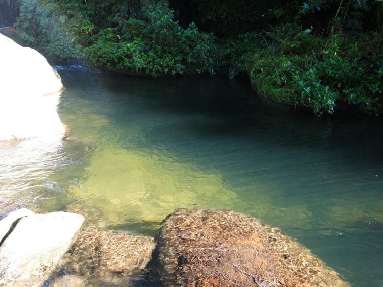 851 Wright Road Aongatete_22