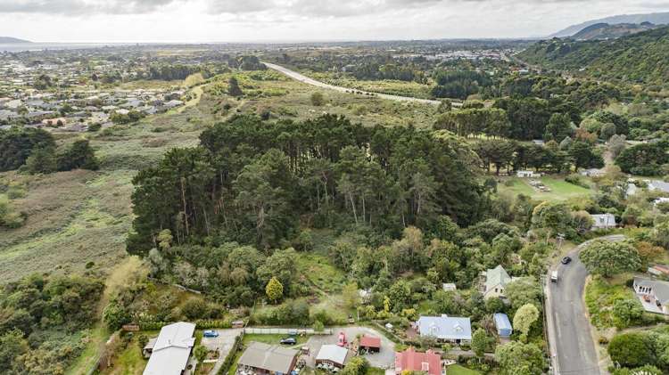 63-69 Leinster Avenue Raumati South_5