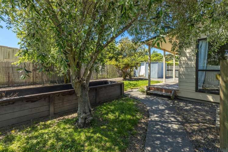 28A Lane Street Blenheim_5