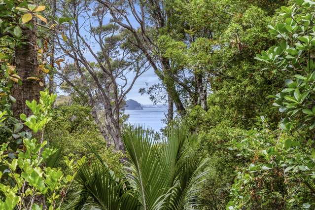 46 Tanekaha Road Titirangi_3