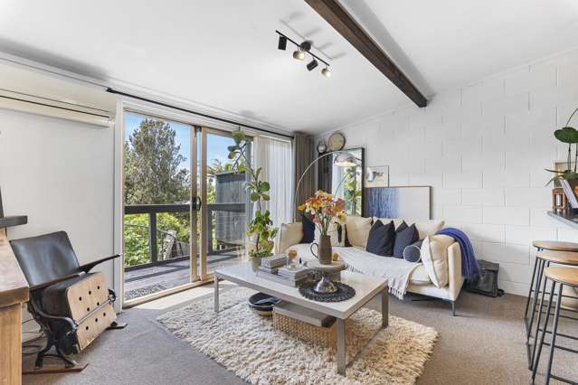 12b Wheeler Place Upper Vogeltown_1