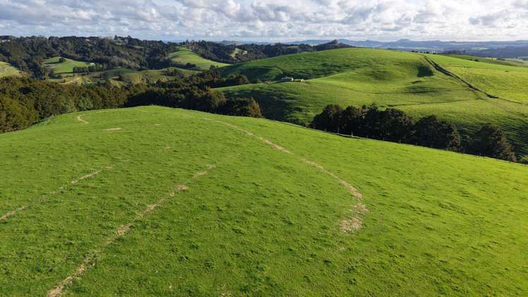 256 McIntyre Road Oromahoe_15