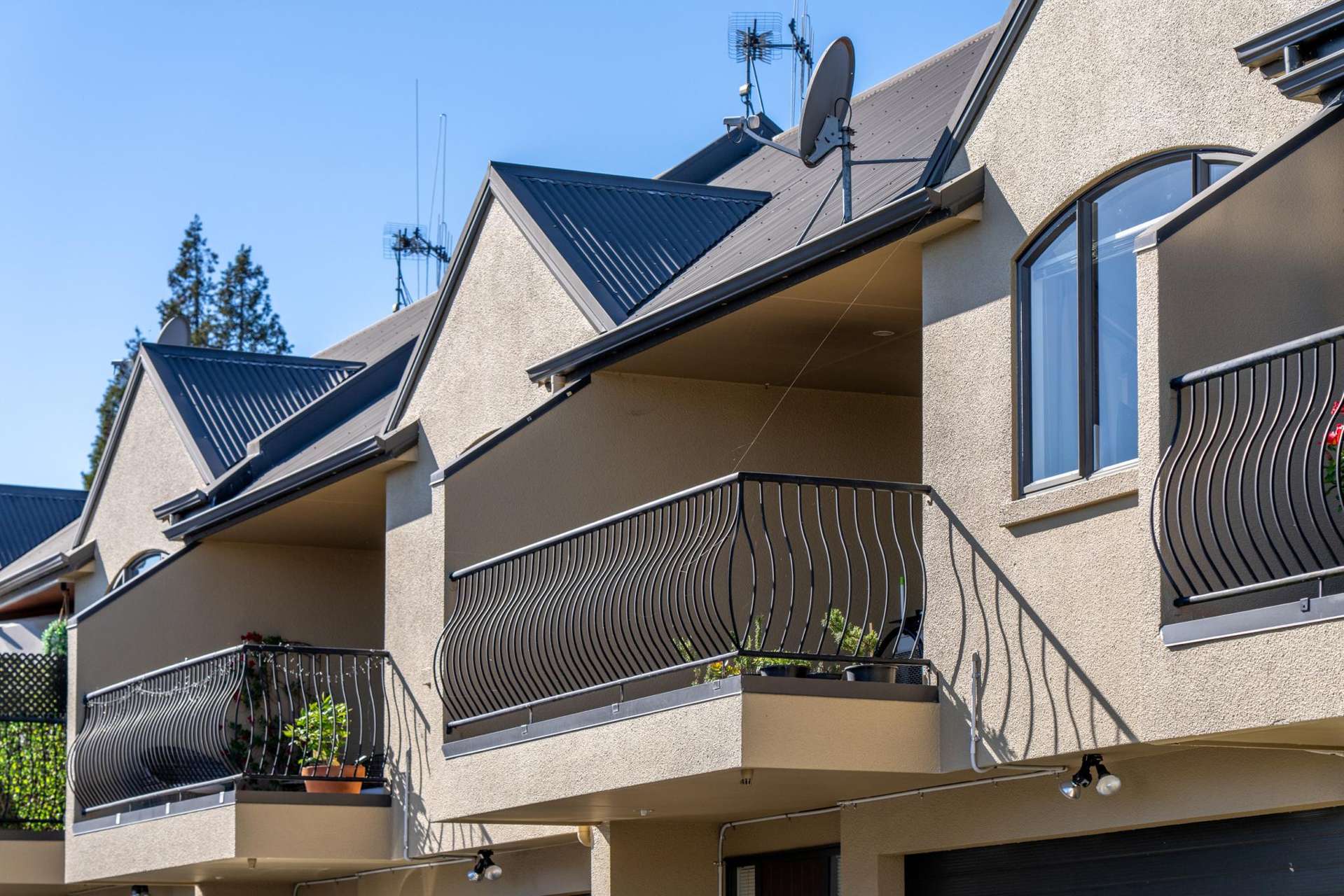 438D Tristram Street Whitiora_0