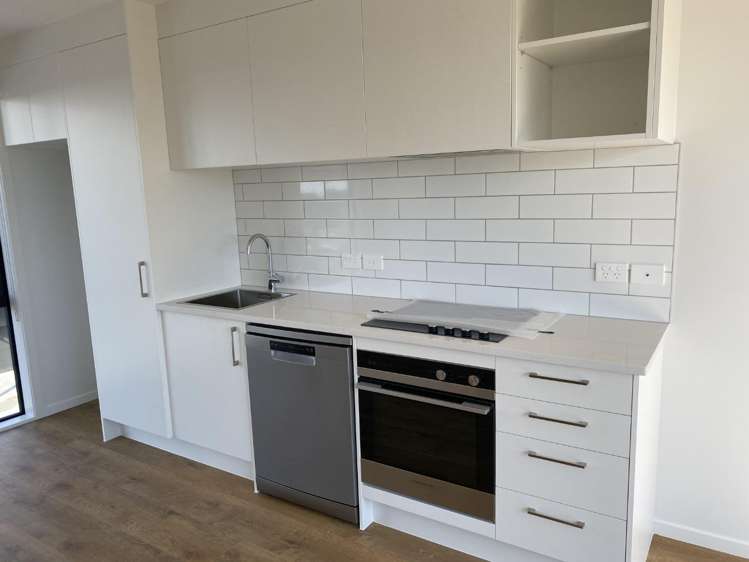3/1 Fruitvale Road 1732_9