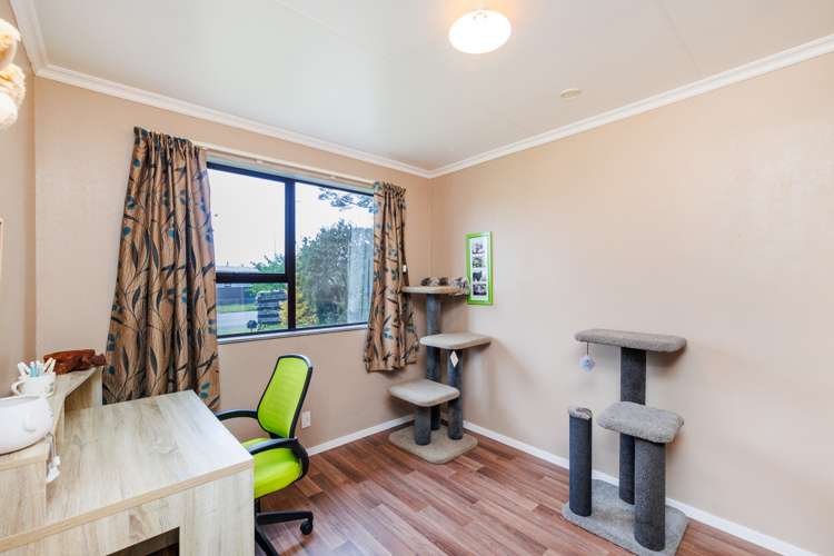 2 Kaimanawa Street Kelvin Grove_12