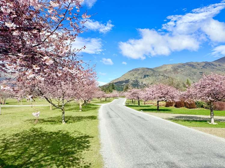 5 Ironview Lane Wanaka_27