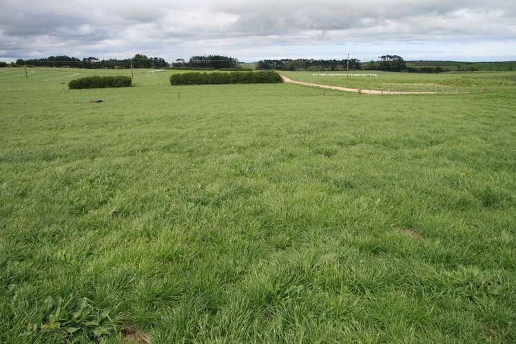 178 Omahuru Road Okaiawa_9