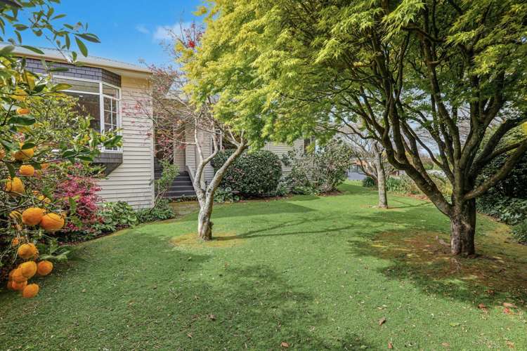 71 Fraser Street Tauranga South_4