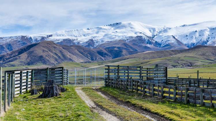 347 Butlers Road Fairlie_1