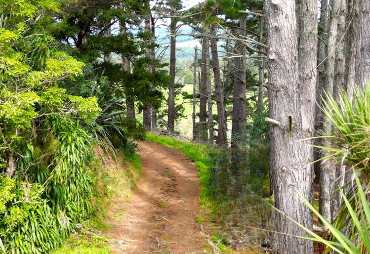 334 Otaua Road_4