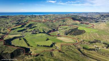 3503 Porangahau Road_2