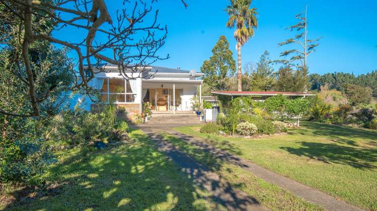 102 Puriri Valley Road_0