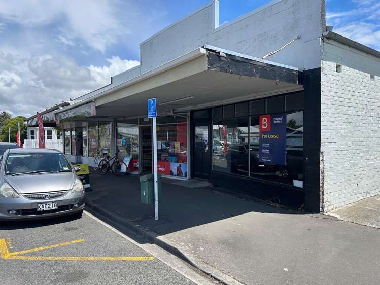 17A Latham Street Napier South_6