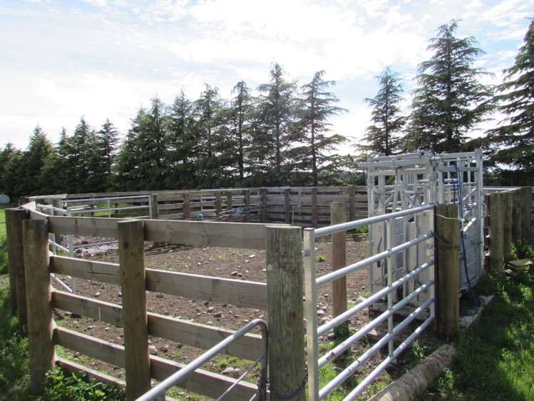 376 Anama Valetta Road Valetta_9