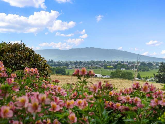 44 Puahue Road Kihikihi_3