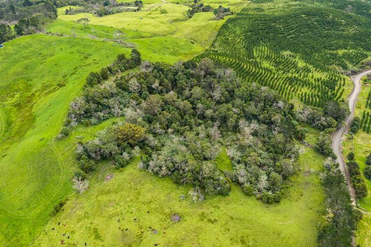 757 Opanake Road Parore Dargaville_45