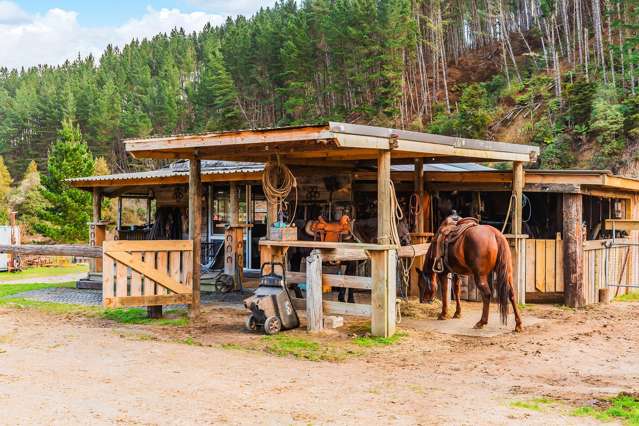 Little Ranch - wants a new owner!