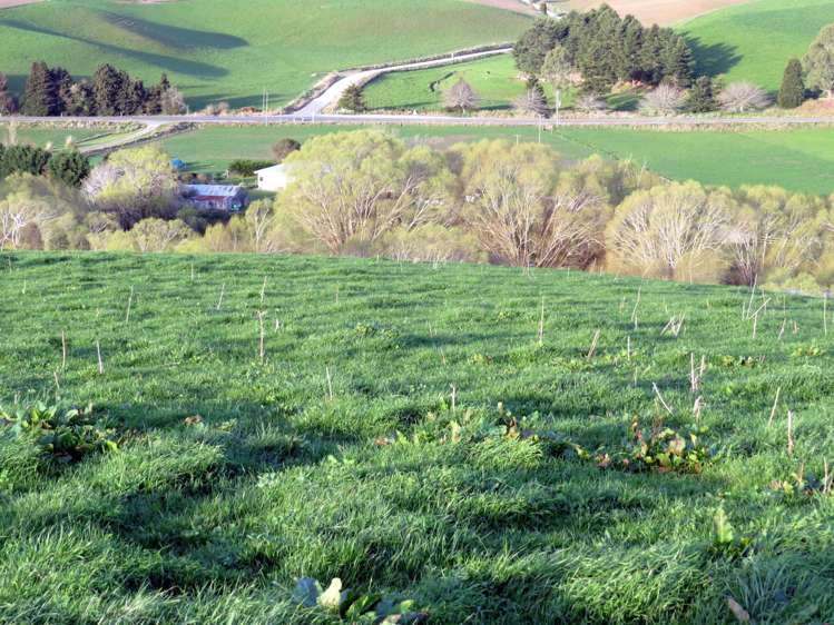 1629 Weston-Ngapara Road Enfield and Surrounds_8