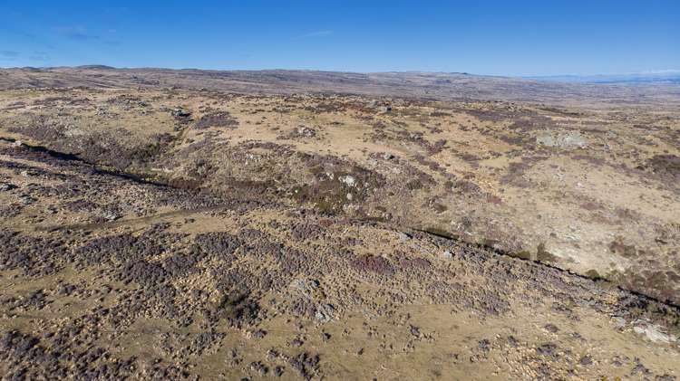 715 Hyde-Macraes Road Hyde_22