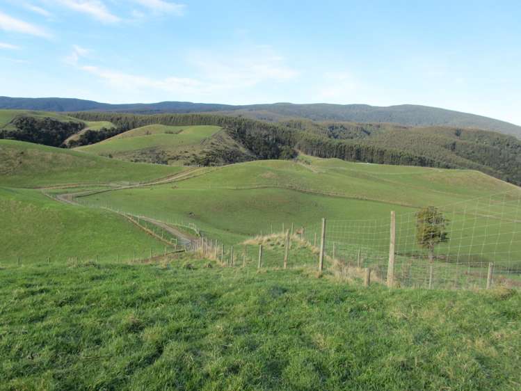 25 Keenan Road Tuatapere_28