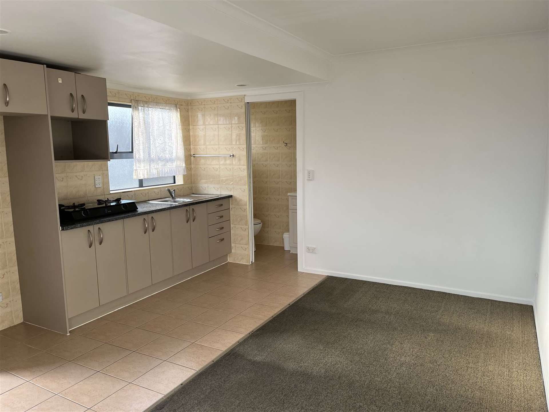 2b Pinewood Street Avondale_0