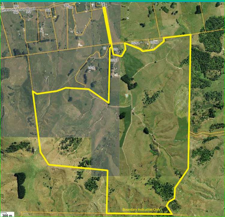 1026 Limeworks Loop Road Karamu_42