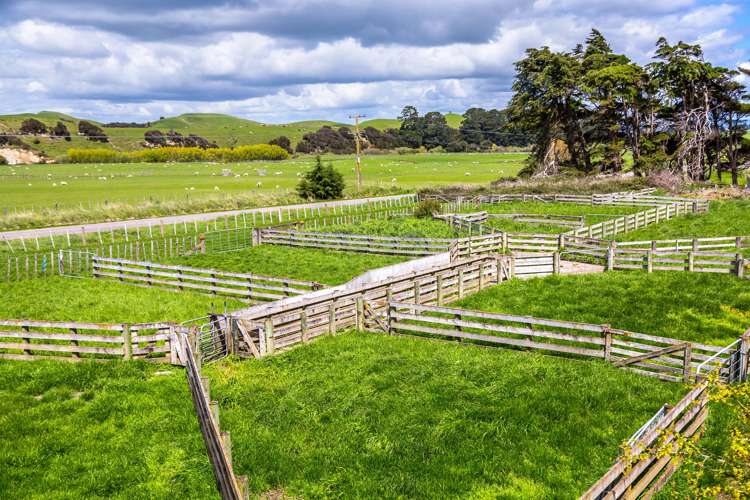 507 Valley Road Woodville_22