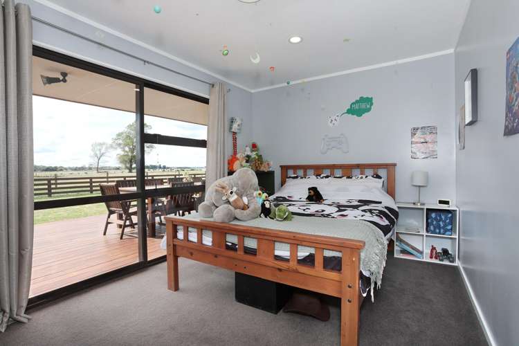 455b State Highway 1 Bulls_15