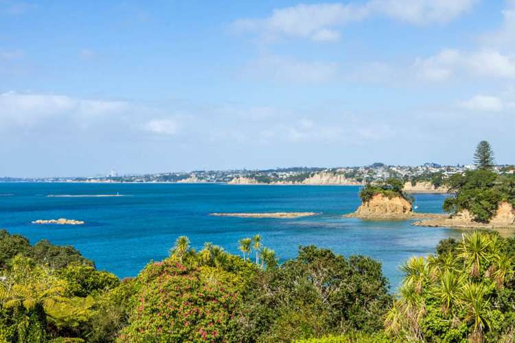 7 Ringwood Street Torbay_12