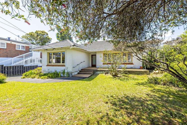 254 Saint Heliers Bay Road Saint Heliers_7