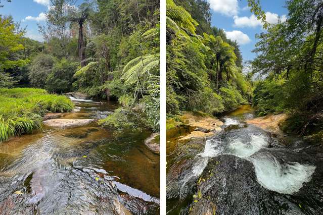 18B Plummer Road Whakamarama_4