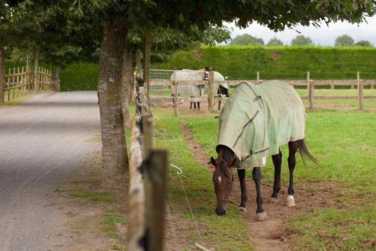 7567 State Highway 27 Matamata_14