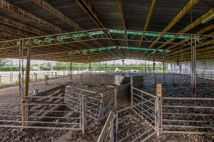 379 Mount Brown Road Broomfield_15