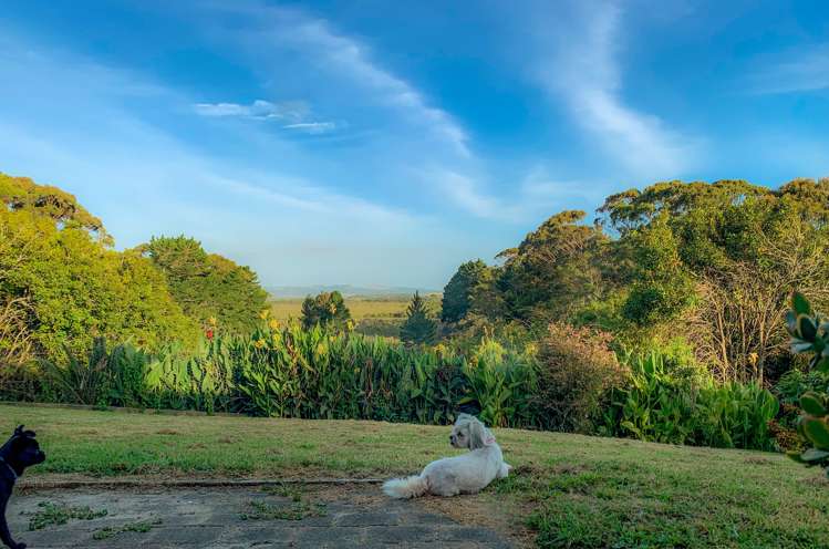 880 South Head Road South Head_9