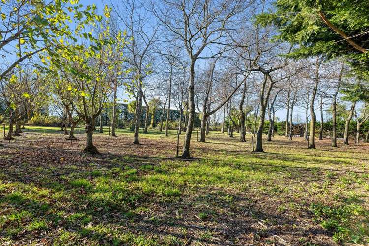 8 Pattons Road Mount Somers_9