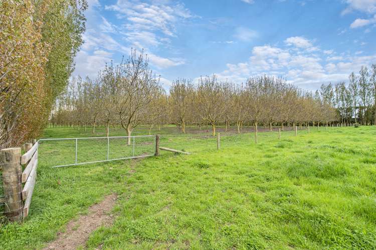 620 Heslerton Road Southbridge_21