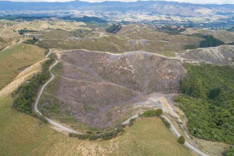 Ridge Road Pohangina_6