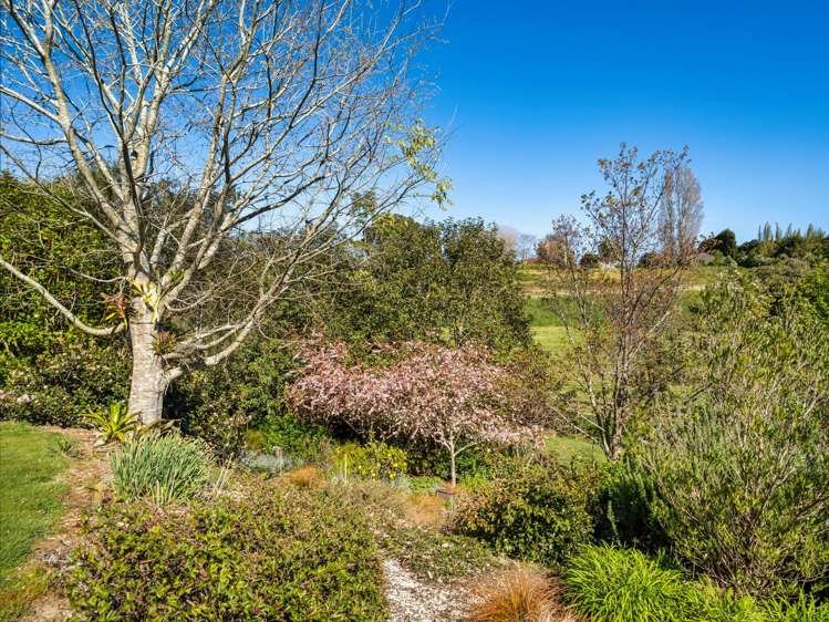 139 Lochhead Road Te Puna_35